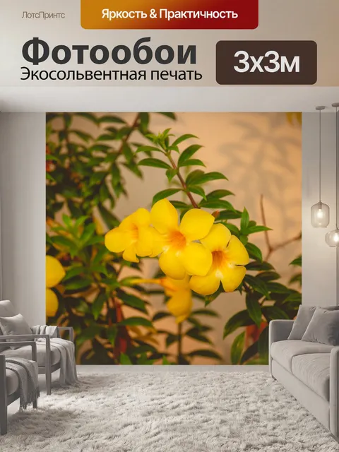 Фотообои Цветок