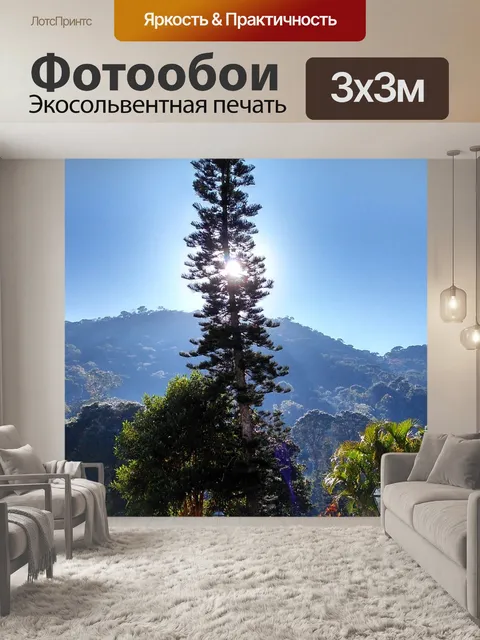 Фотообои Сосна