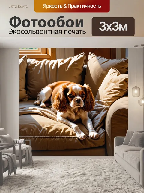 Фотообои сцена, где кавалер кинг чарльз спаниель лежит на уютном диване, окружённый мягкими подушками и пледами