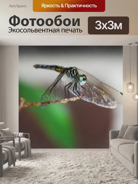 Фотообои Конкурс подключить