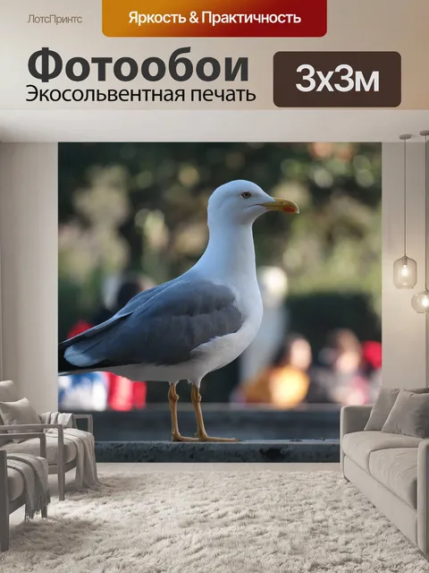 Фотообои Птица