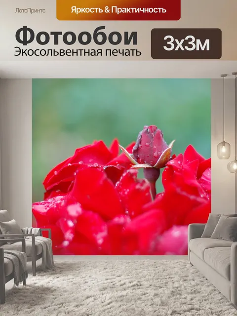 Фотообои Роза