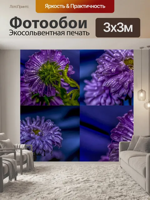 Фотообои Цветок в тени