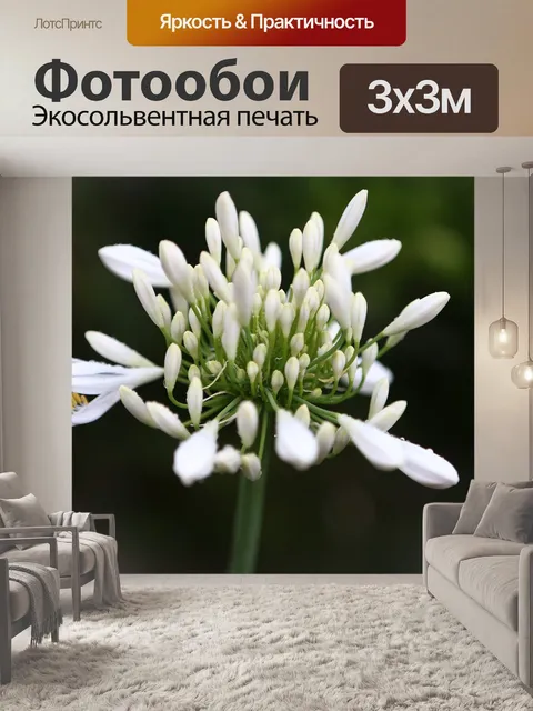 Фотообои Цветок