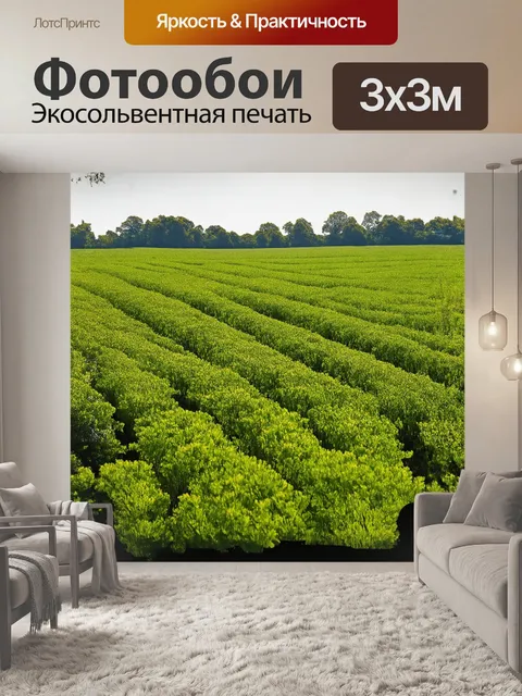 Фотообои в солнечном свете, на бескрайних зелёных полях, среди буйной ботвы, виднеются крупные, румяные клубни…