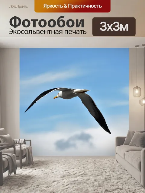 Фотообои Небо
