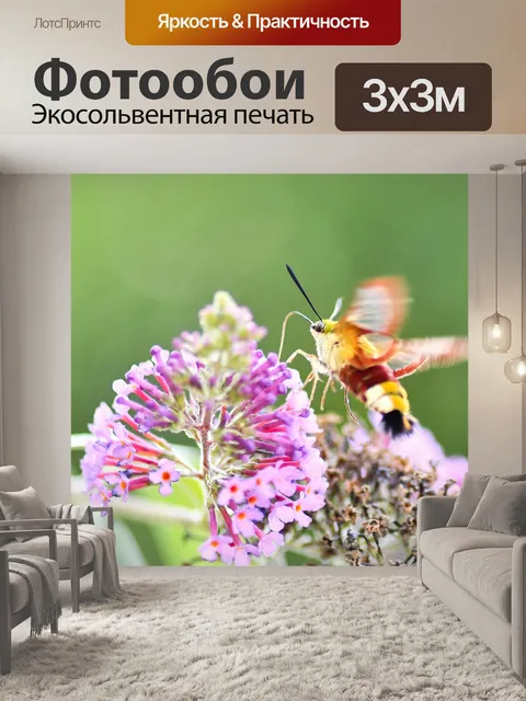 Фотообои Бабочка