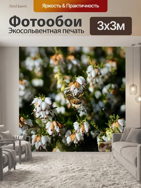 Фотообои Цветок