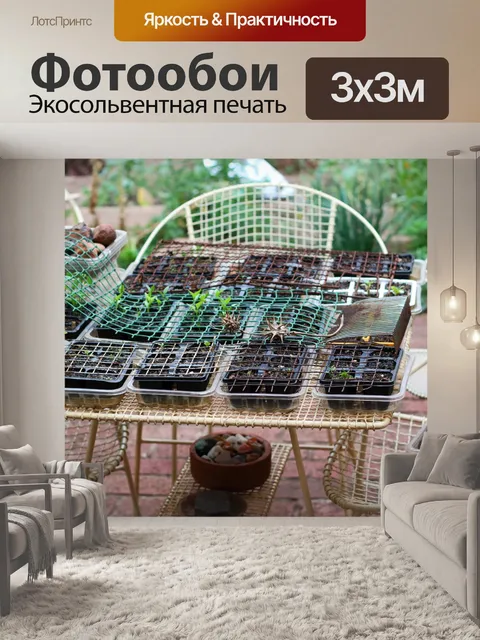 Фотообои закрытые саженцы на садовом столе