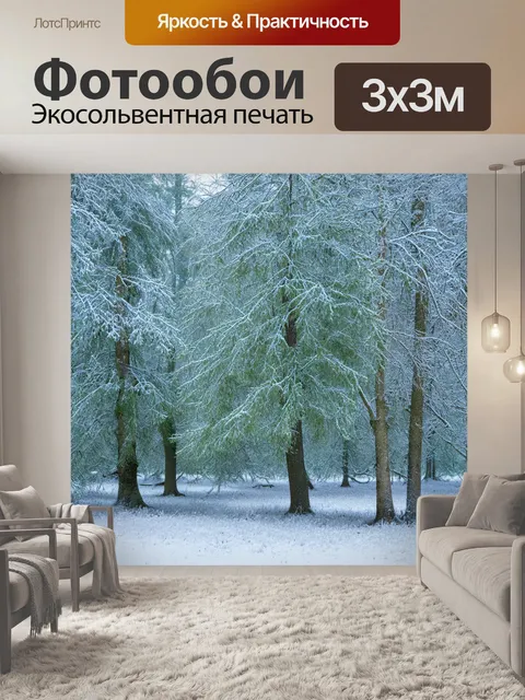 Фотообои лес с деревьями, покрытыми инеем, создающими красивый зимний пейзаж