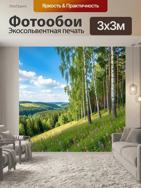 Фотообои Летний лесной пейзаж с высокими белоствольными берёзами на солнечном склоне холма