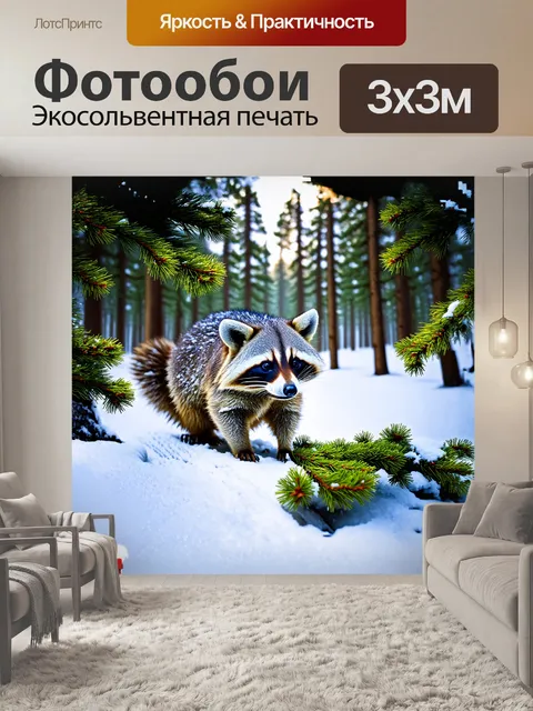 Фотообои енот, озорной и любопытный, ведет снежное экспериментирование, коря мозговитом в еловых иголках