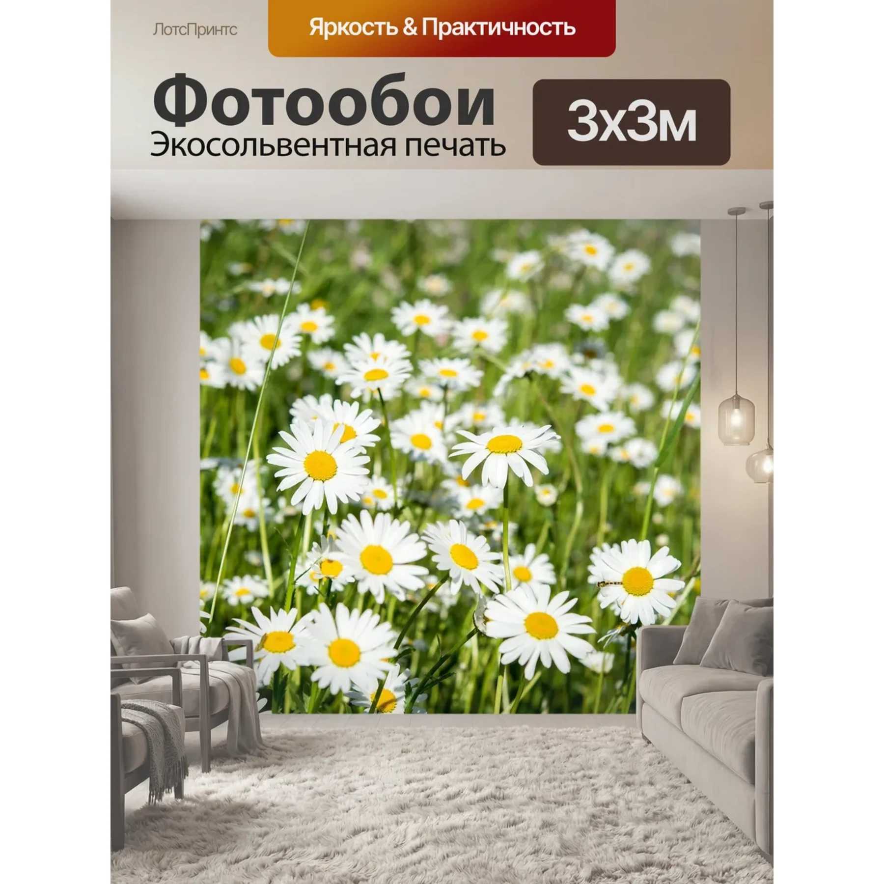 Изображение для выбора фрагмента