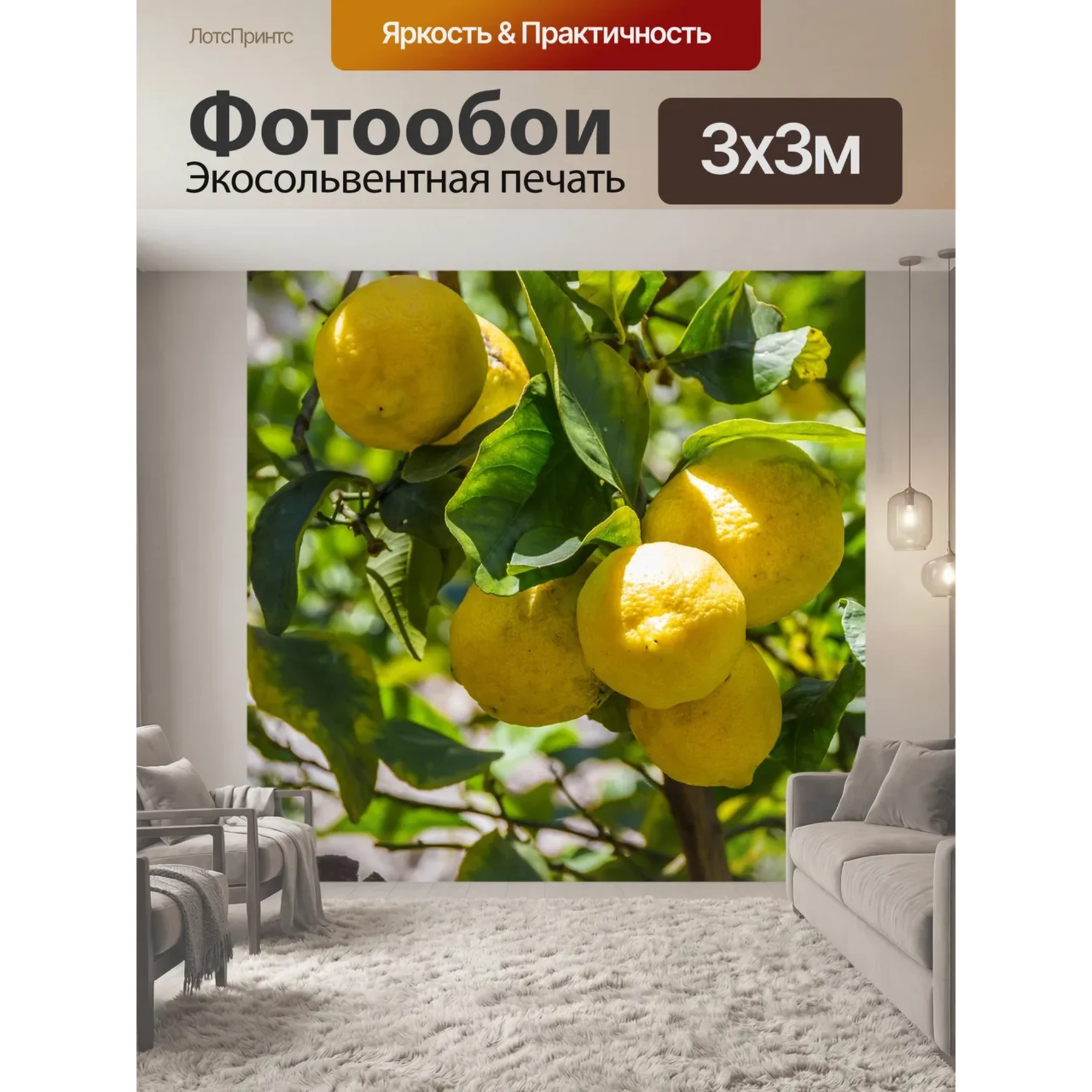 Изображение для выбора фрагмента