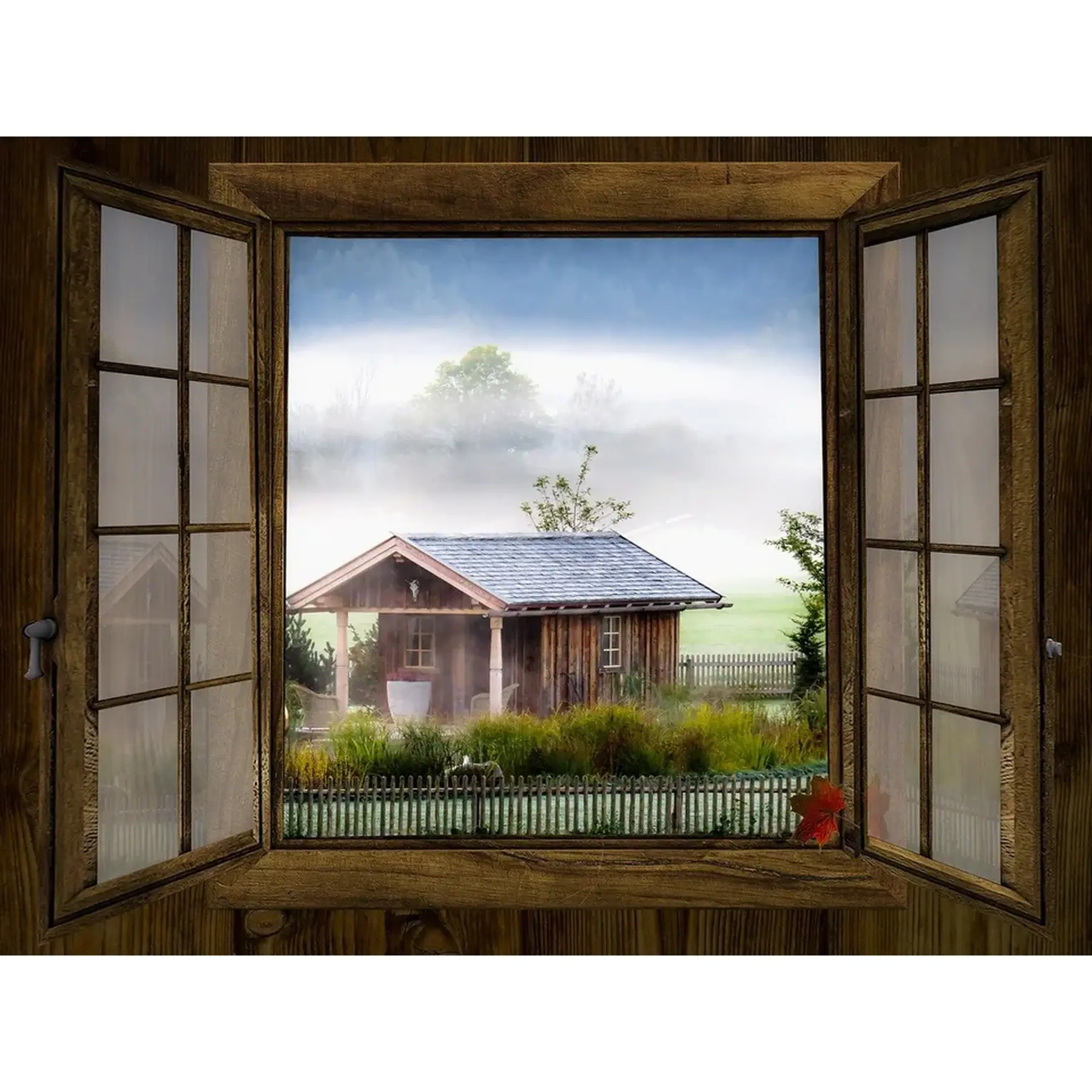 Изображение для выбора фрагмента