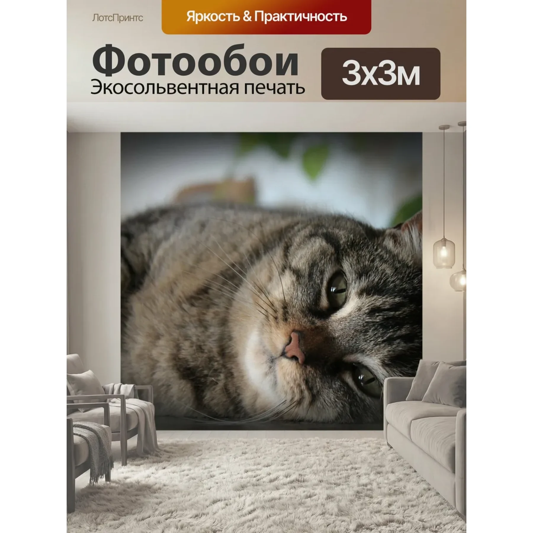 Изображение для выбора фрагмента