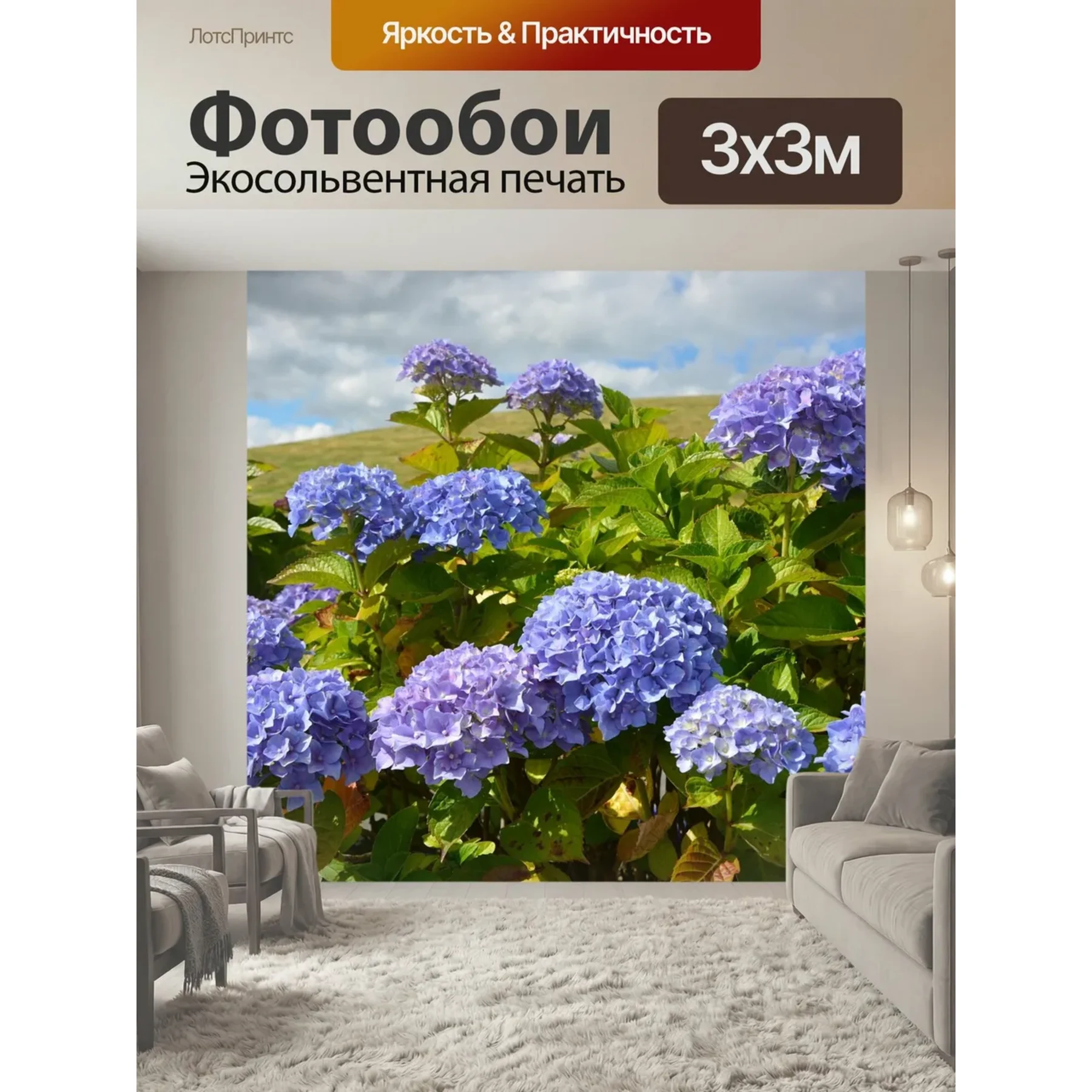 Изображение для выбора фрагмента