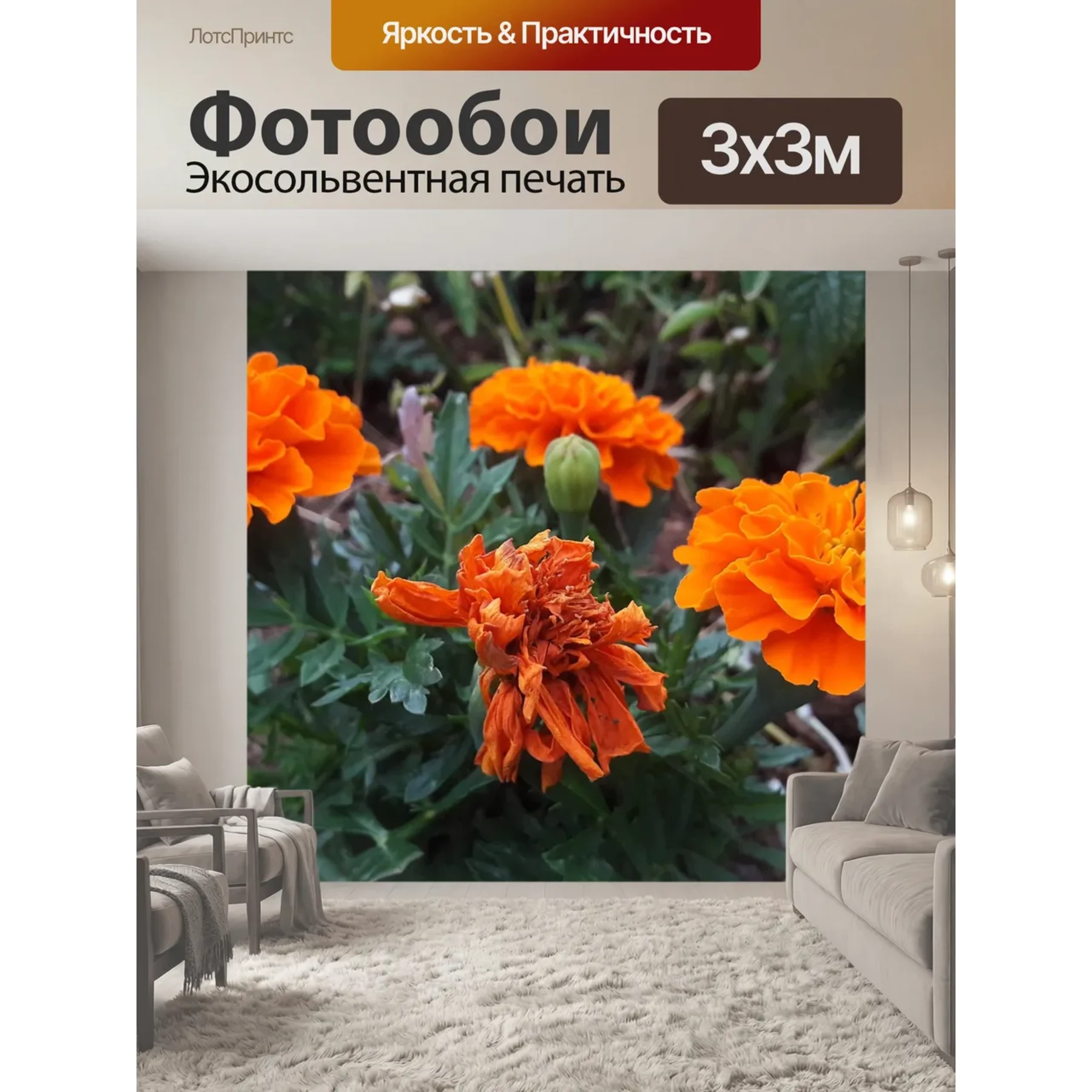 Изображение для выбора фрагмента