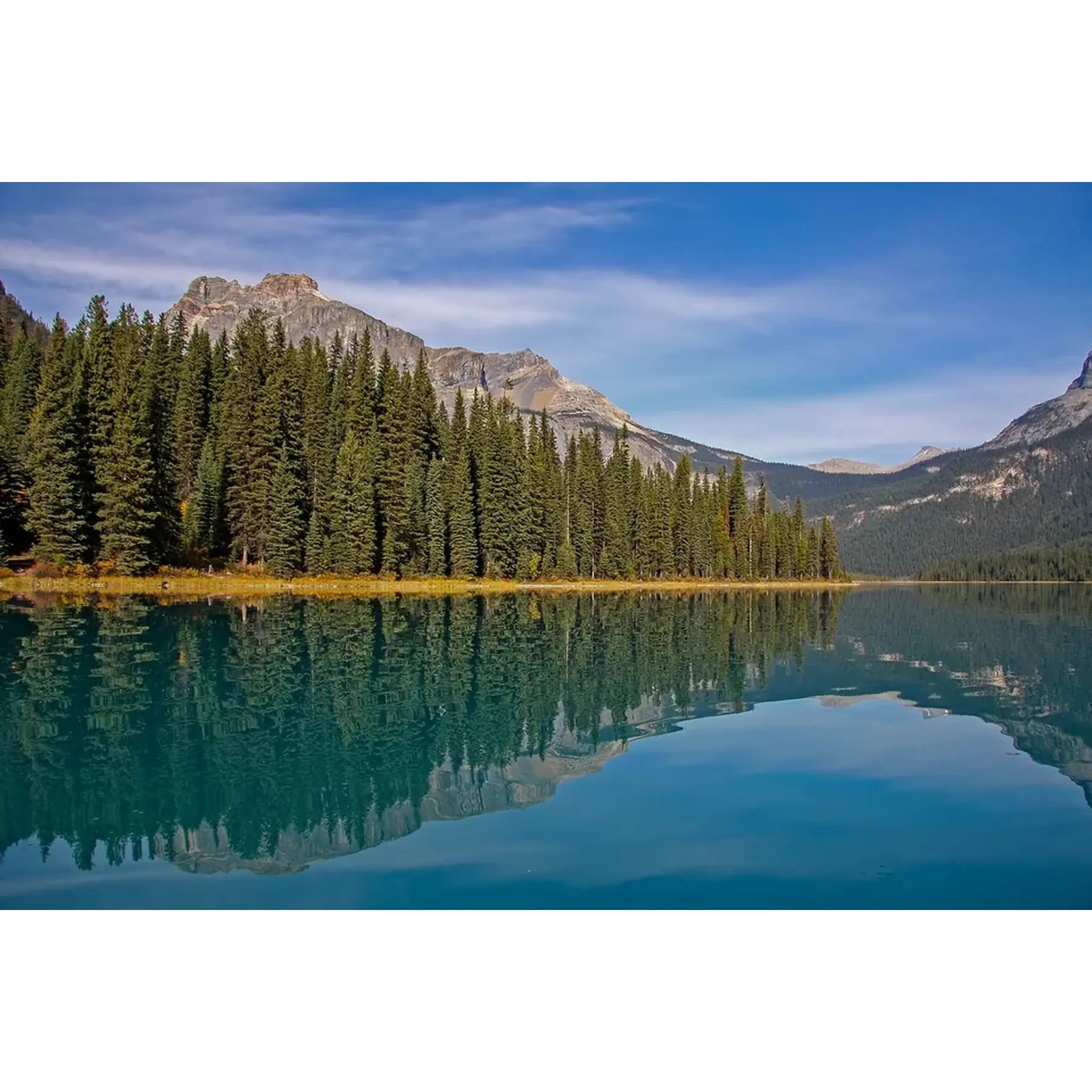 Изображение для выбора фрагмента