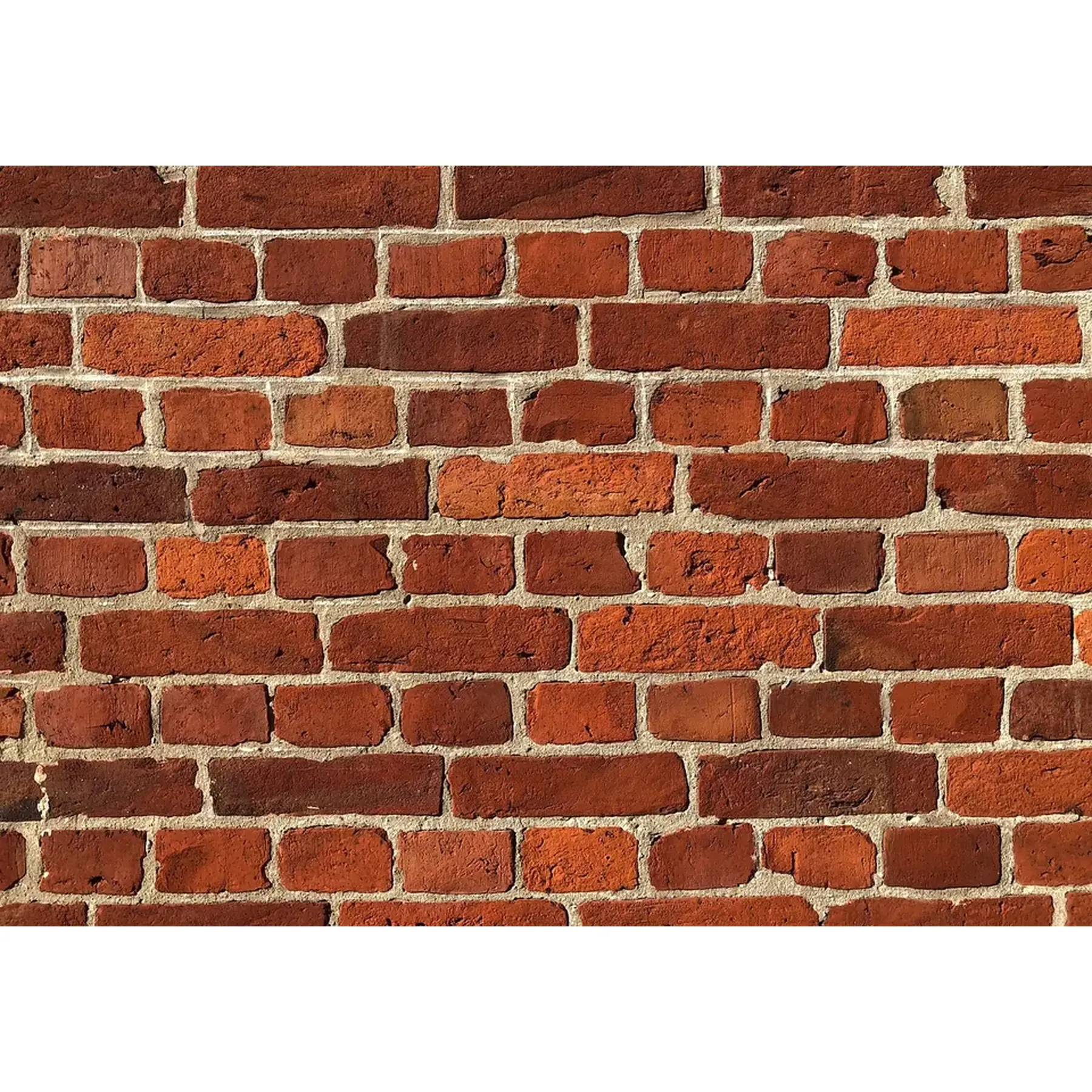 Изображение для выбора фрагмента