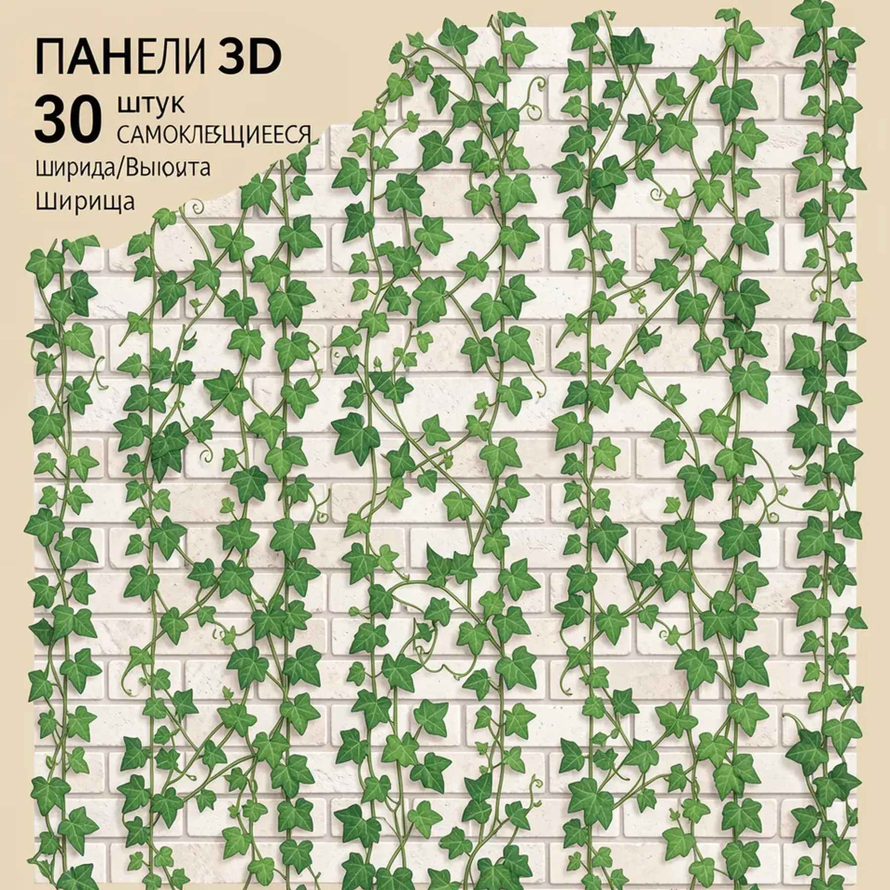 Изображение для выбора фрагмента