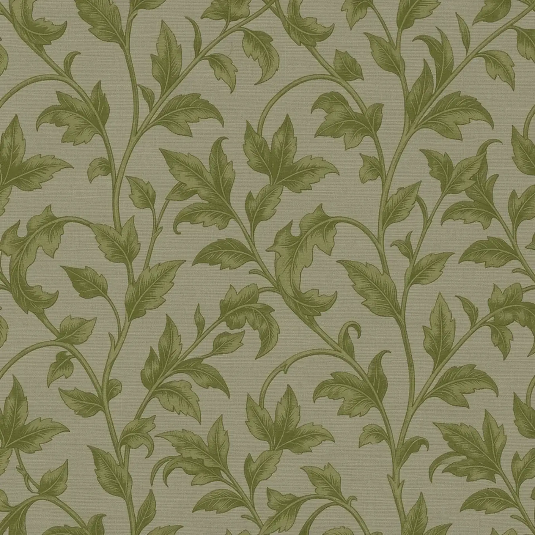 Изображение для выбора фрагмента