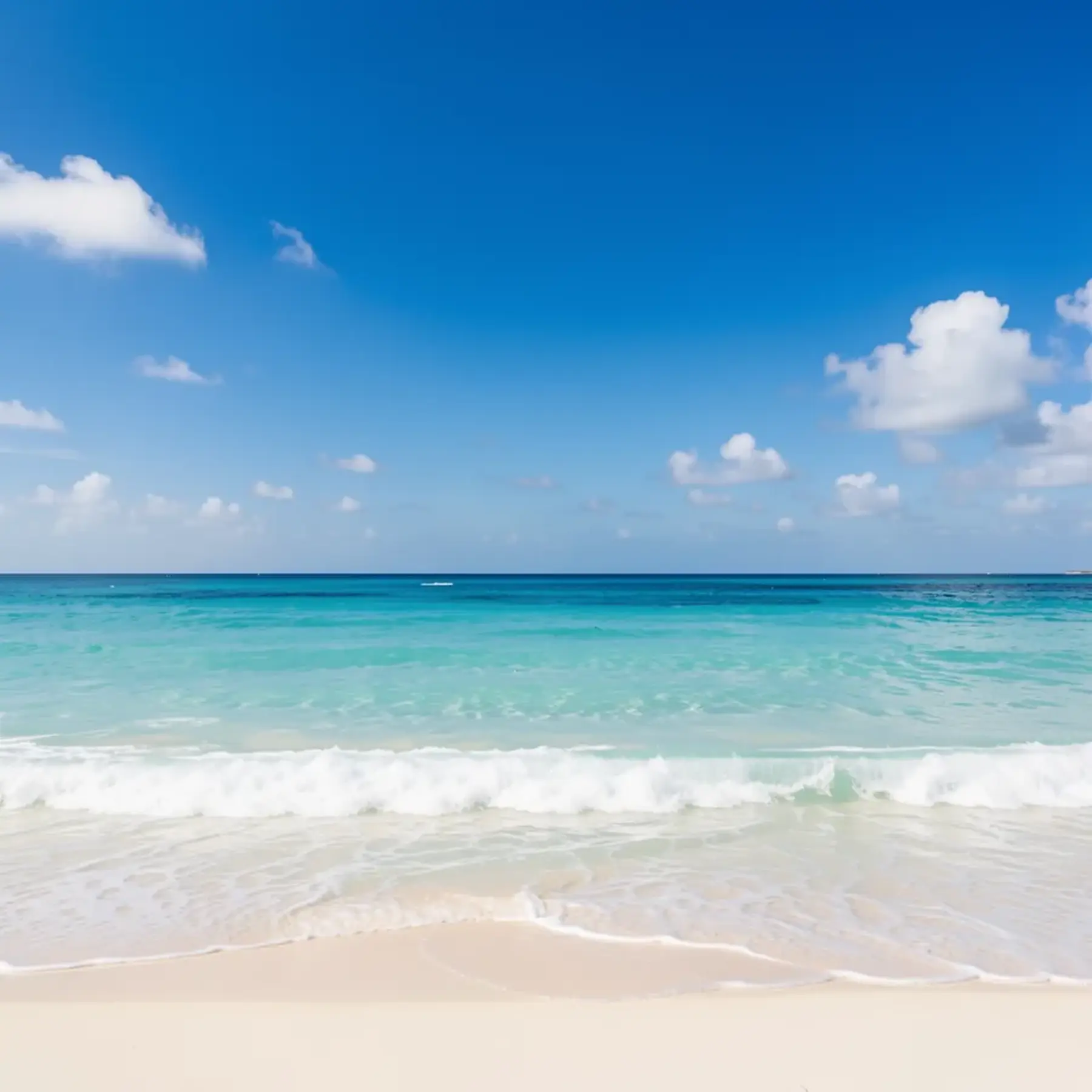 Изображение для выбора фрагмента