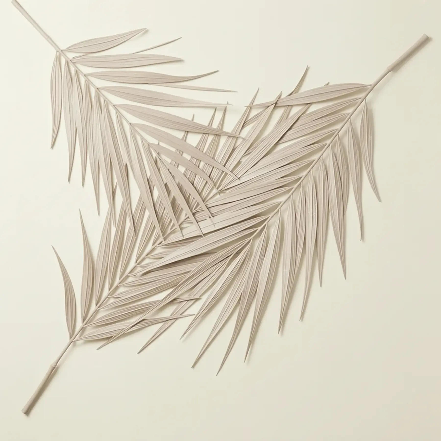 Изображение для выбора фрагмента