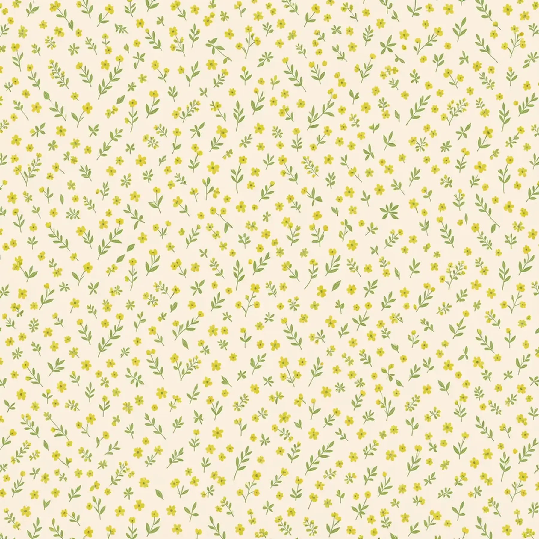 Изображение для выбора фрагмента