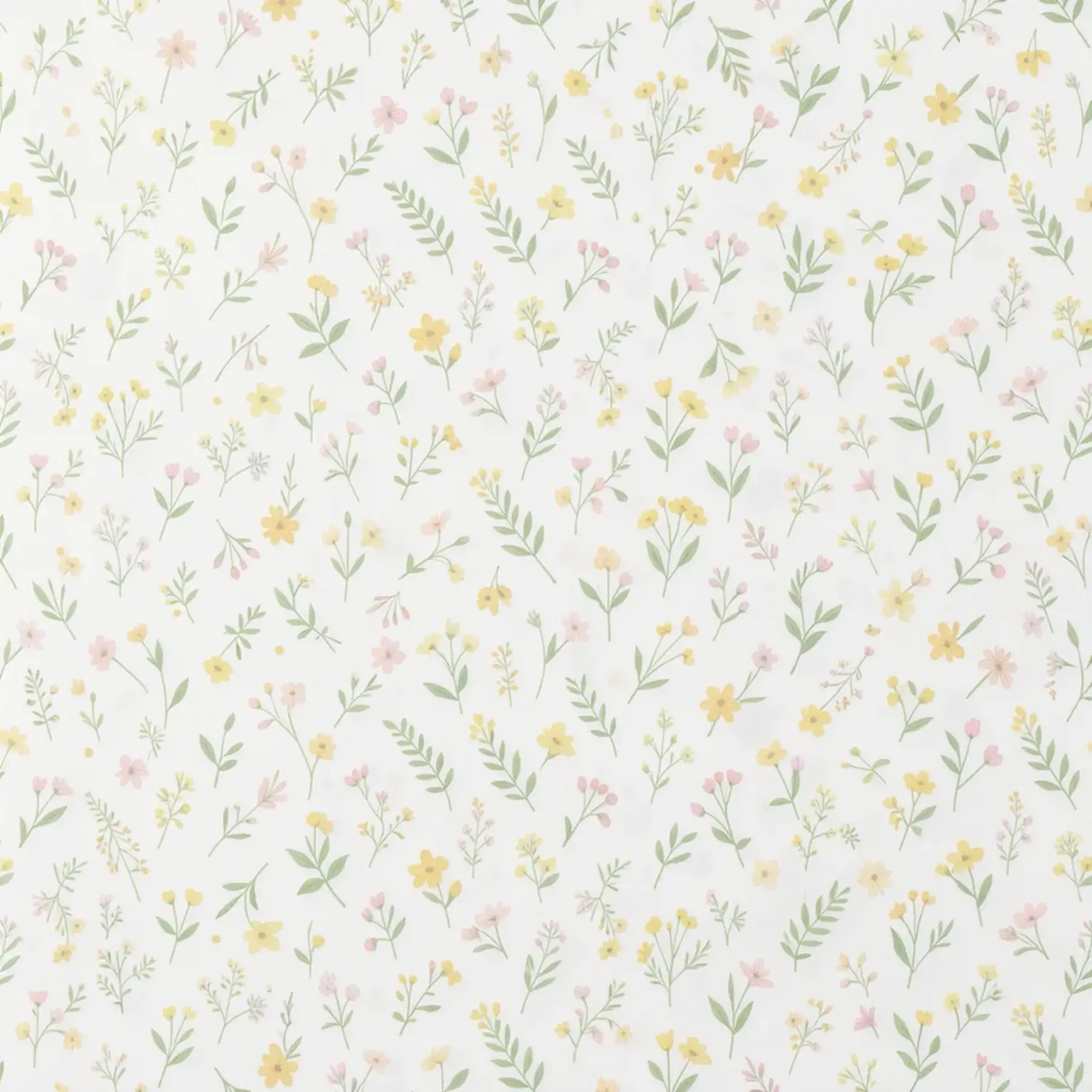 Изображение для выбора фрагмента