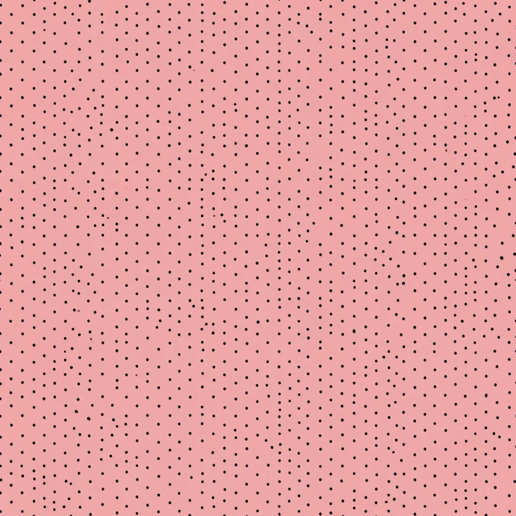Изображение для выбора фрагмента