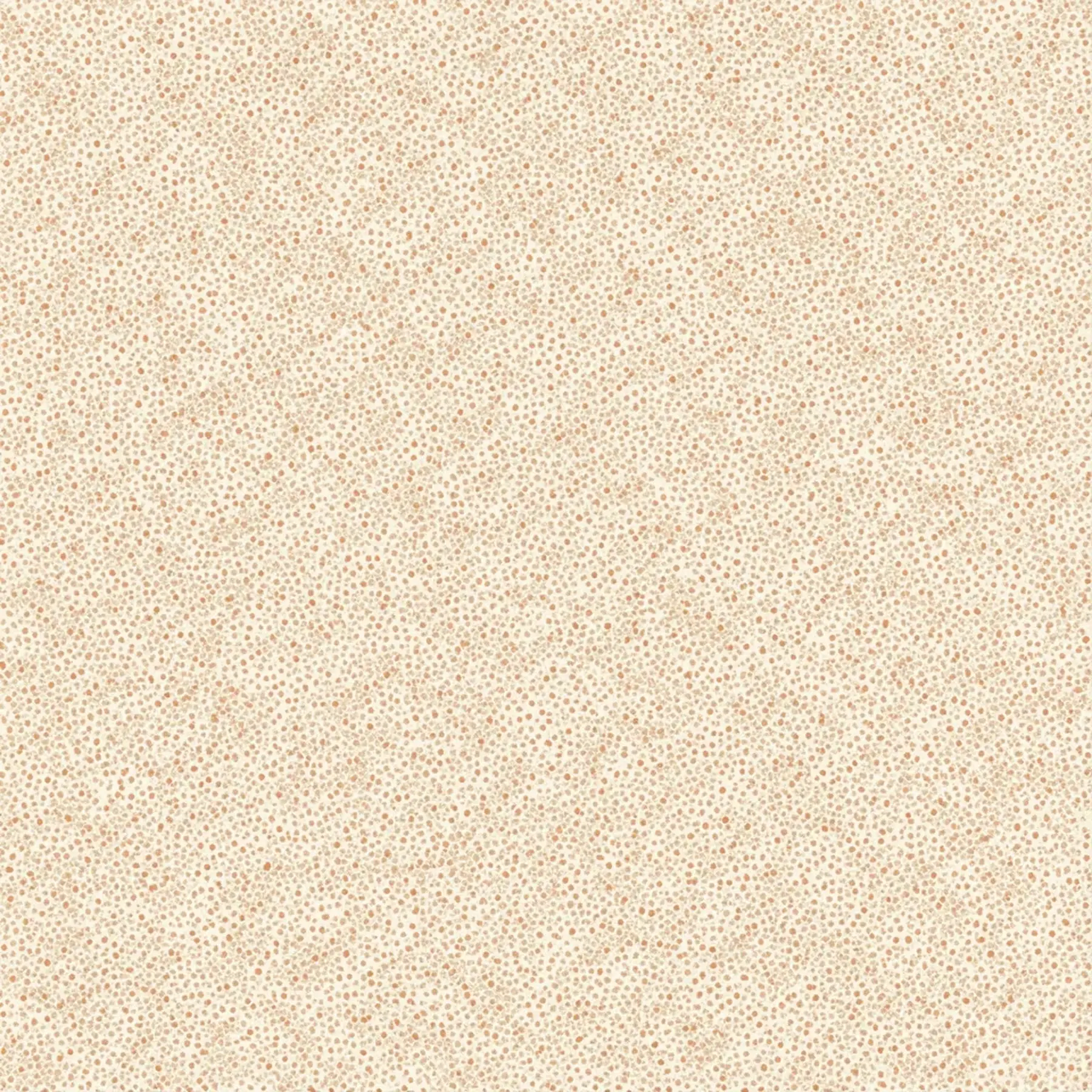 Изображение для выбора фрагмента