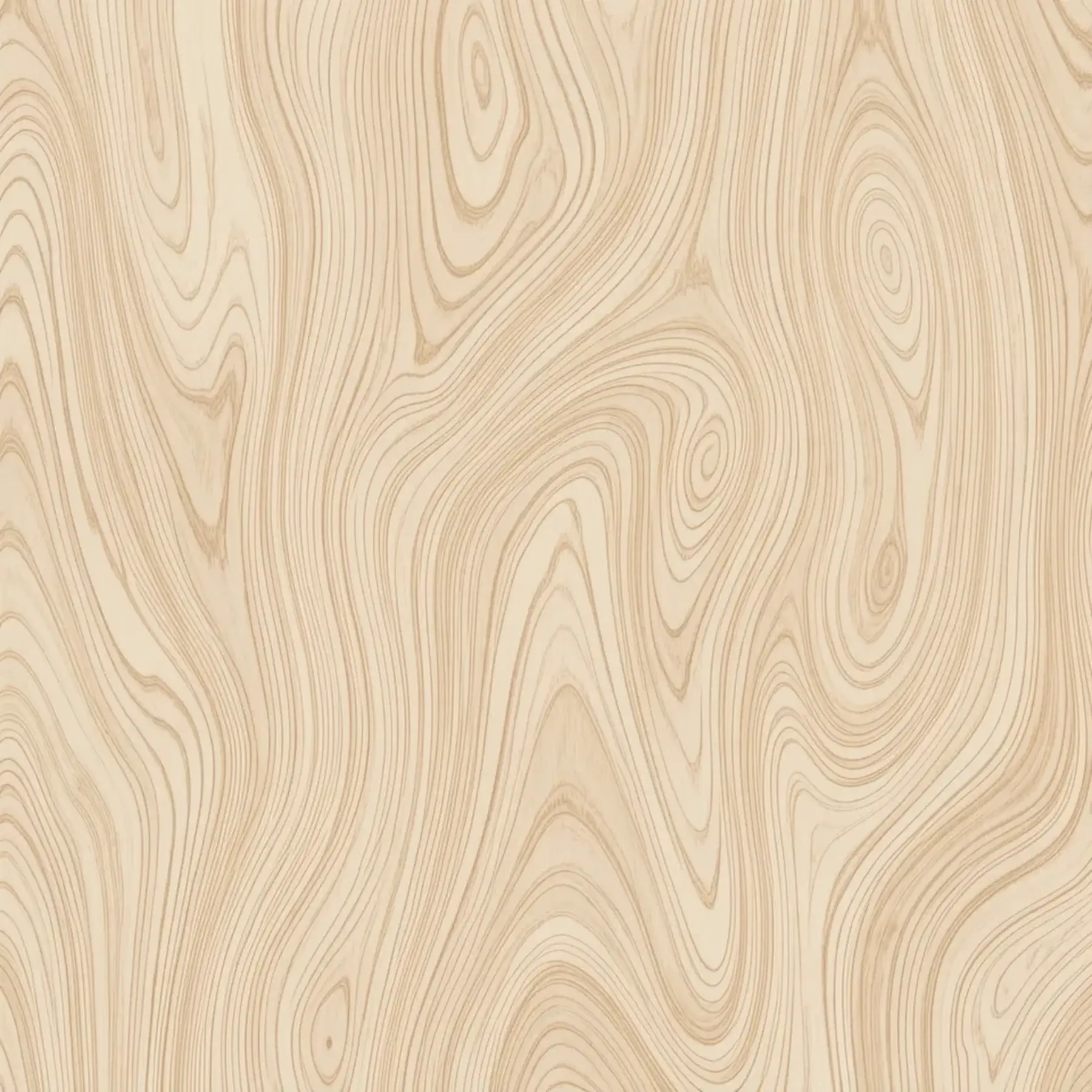 Изображение для выбора фрагмента