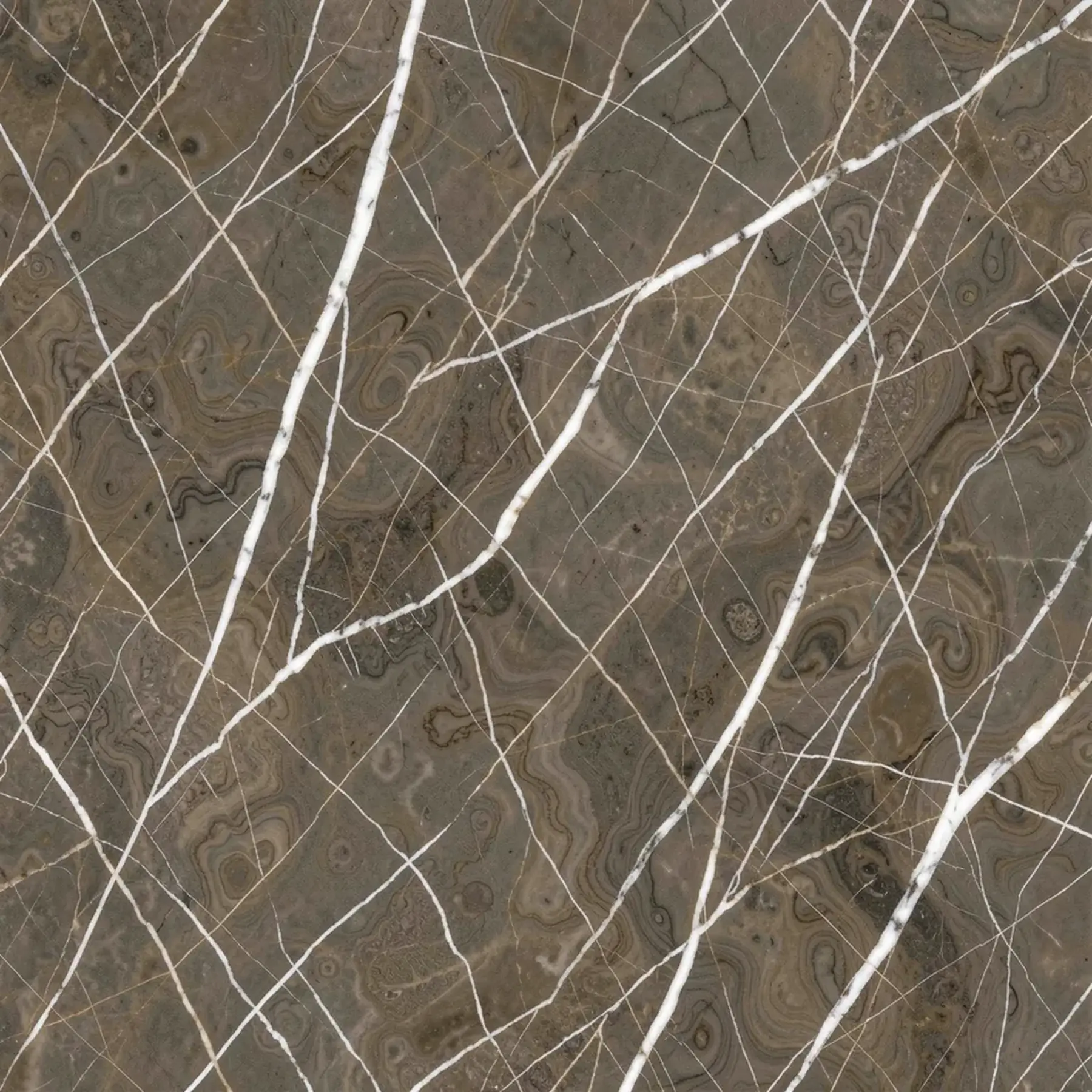 Изображение для выбора фрагмента