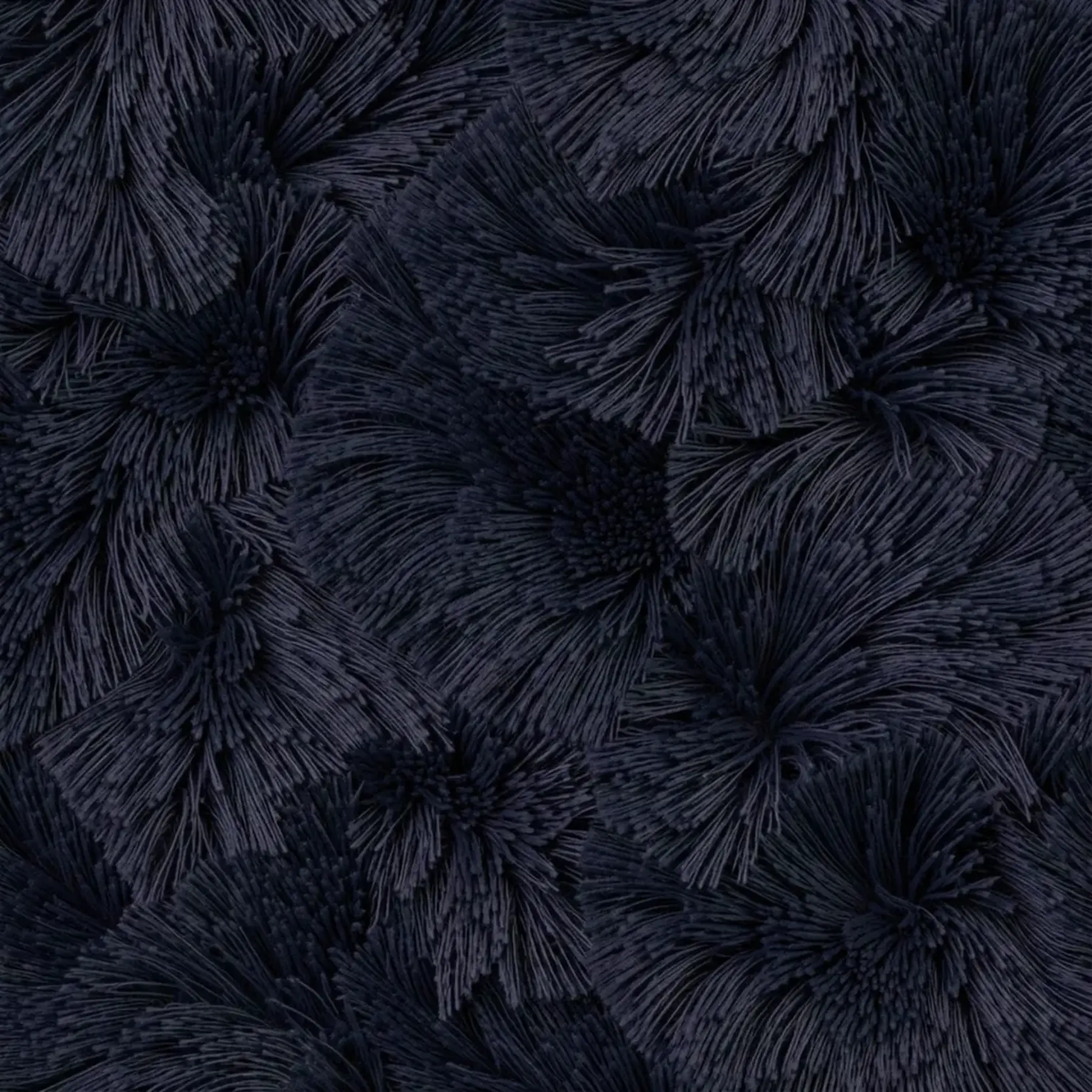 Изображение для выбора фрагмента