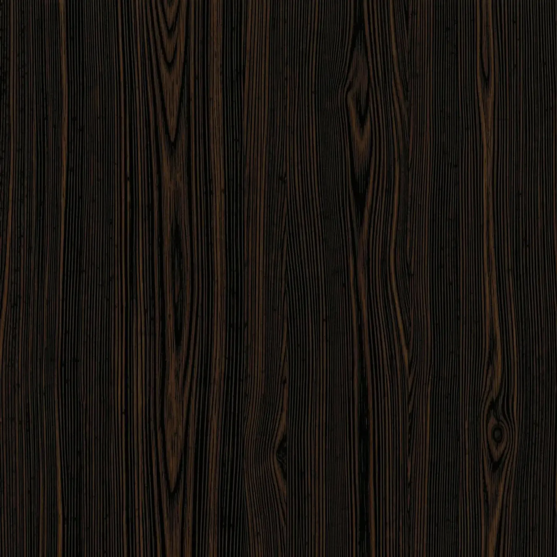 Изображение для выбора фрагмента