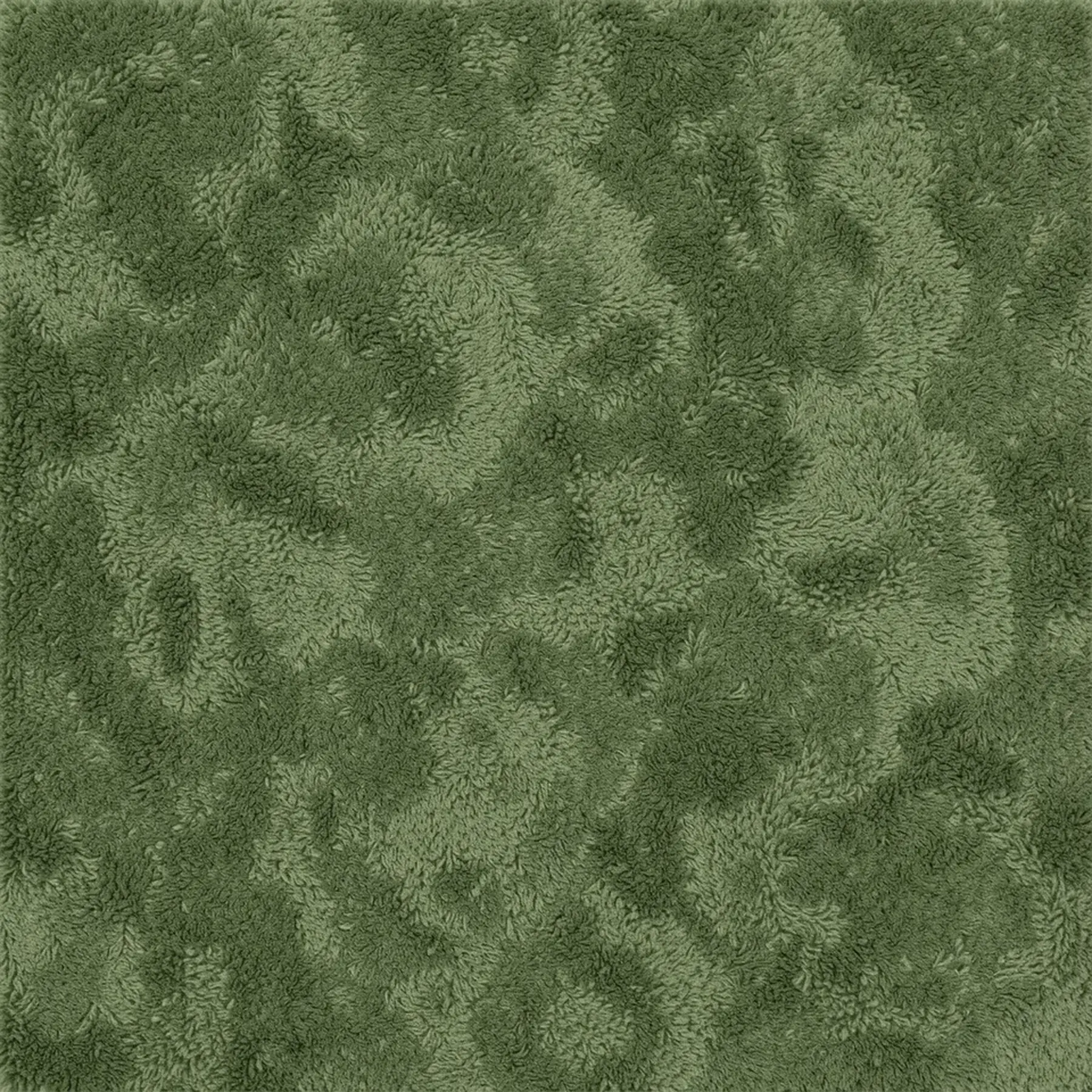 Изображение для выбора фрагмента